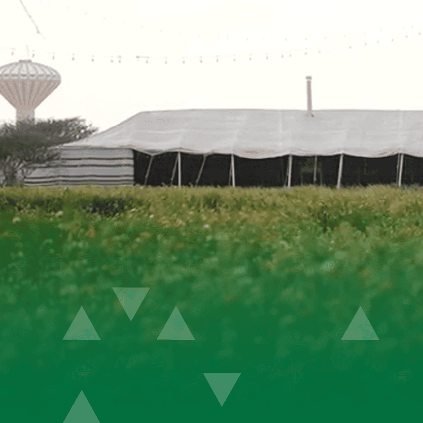 بلدية الأفلاج تنظم فعالية كشتة الشتوية بمنتزه اللبخ والزهور