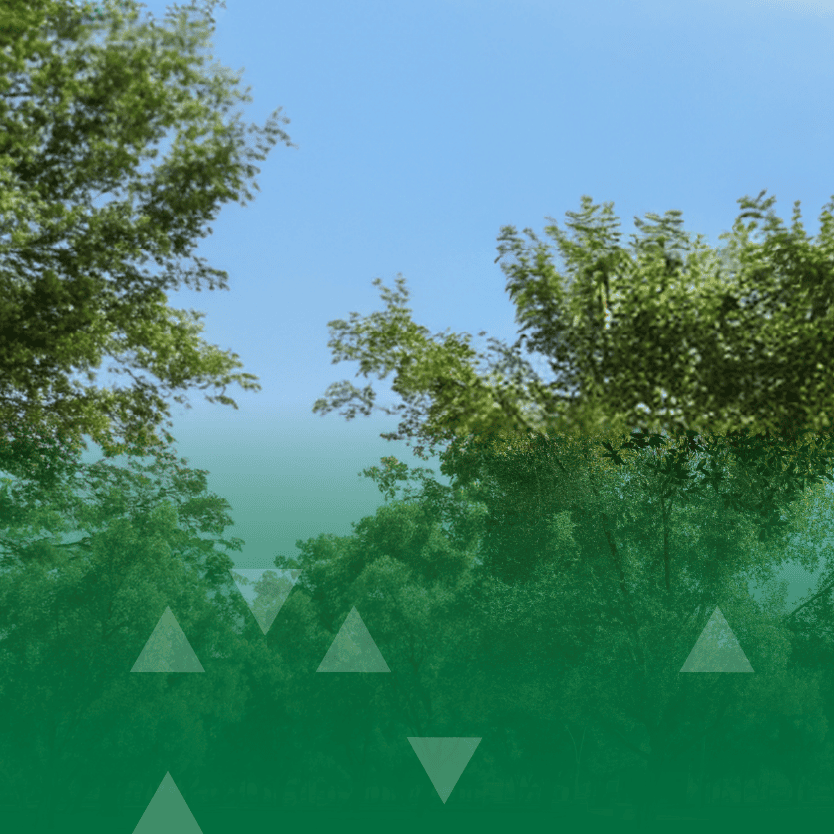 Riyadh Municipality Announces the Construction of Two Large Parks Covering a Total Area of 317,000 Square Meters