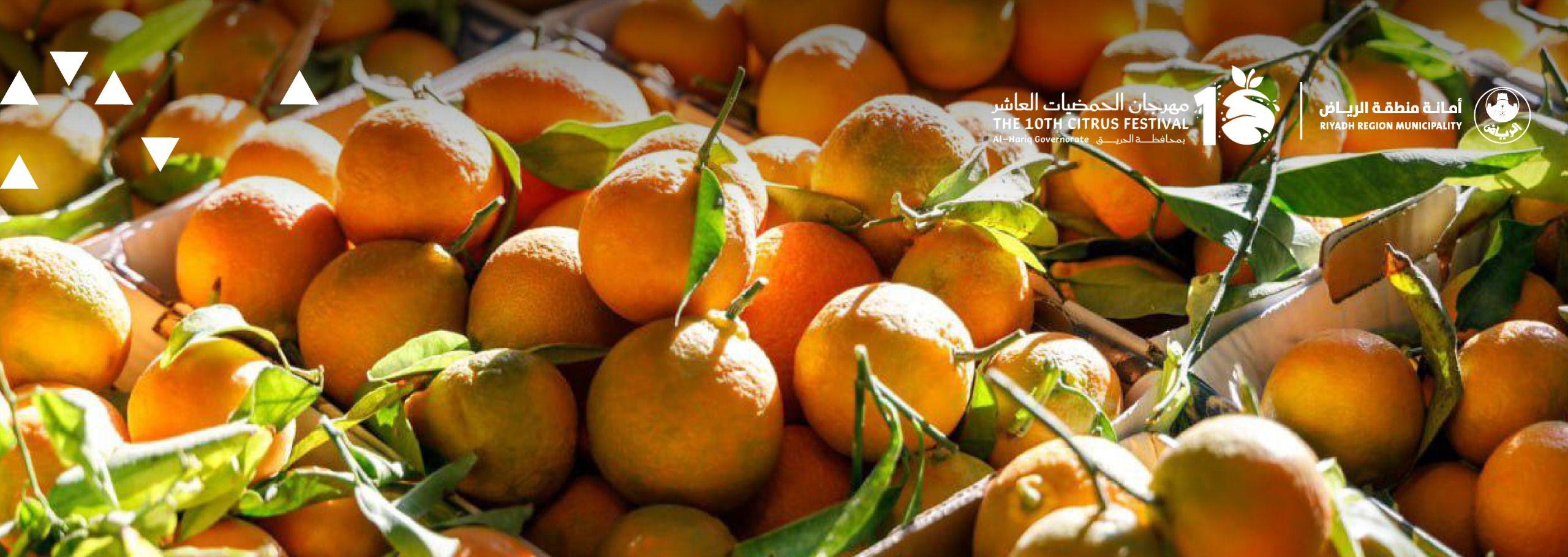 Riyadh Municipality as a Strategic Partner in the Citrus Festival