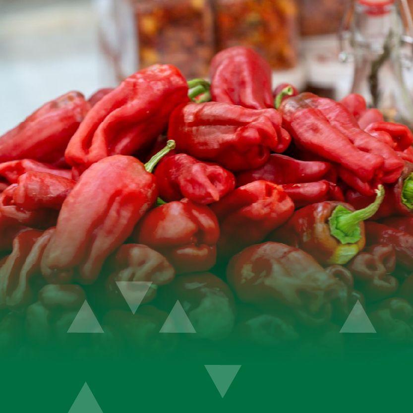 Riyadh Region Municipality Supports the Sixth Shaqra Pepper Festival