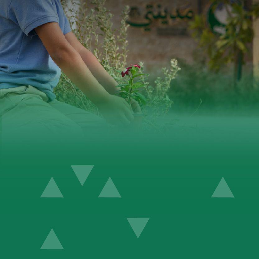 فعالية مكاتب مدينتي - اغرس نبته